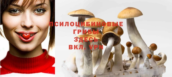 Альфа ПВП Каменск-Шахтинский