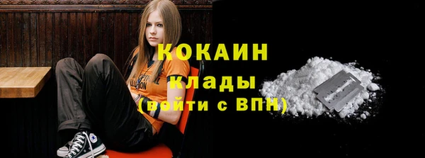 твердый Арсеньев