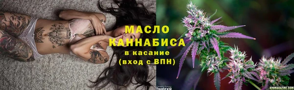 соль ск Каменка