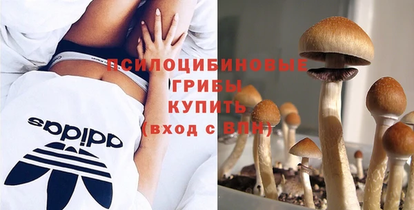 меф Армянск